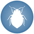Basic Bed Bug Control System